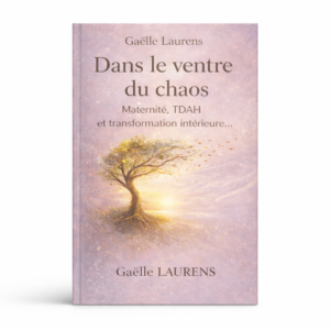Livre : Dans le ventre du chaos